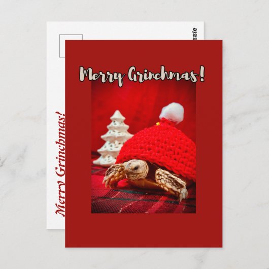 Merry Grinchmas Baby Sulcata Schildkröte in einem Postkarte (Vorne/Hinten)