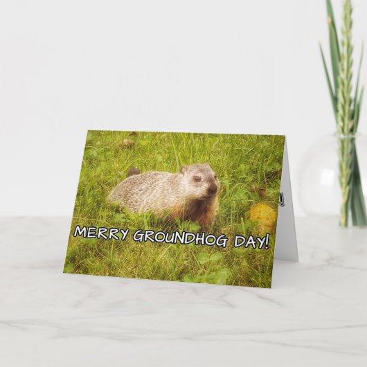 Merry Groundhog Day Grußkarte Karte (Vorderseite)