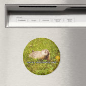Merry Groundhog Day Magnet (In Situ (Geschirrspüler))