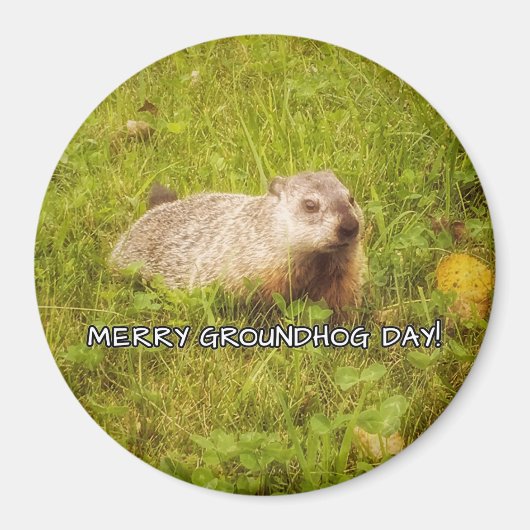 Merry Groundhog Day Magnet (Vorne)