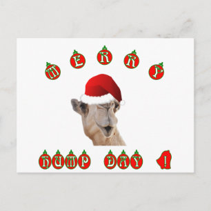 Merry Hump Day Hump Day Camel Feiertagspostkarte