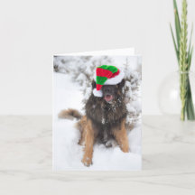 Merry Leonberger Weihnachtskarte