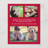 Merry Little Christmas Foto Geburtserklärung (Rückseite)