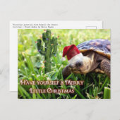 Merry Little Christmas - Wüste Tortoise Postkarte (Vorne/Hinten)
