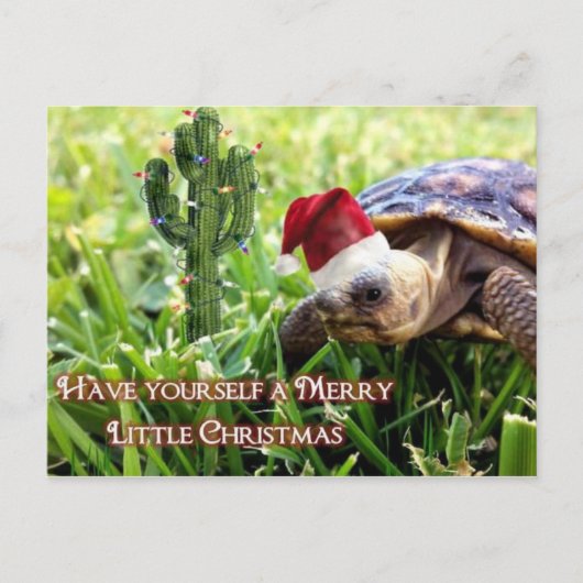 Merry Little Christmas - Wüste Tortoise Postkarte (Vorderseite)