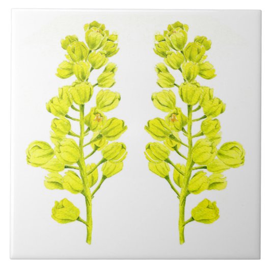 "Merry Maples" auf einer Keramik (II) Fliese (Vorderseite)