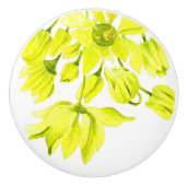 'Merry Maples' auf einer Keramik Pull (I) Keramikknauf (Vorderseite)