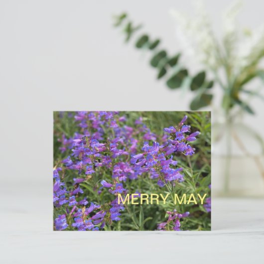 Merry May Postkarte (Stehend Vorderseite)