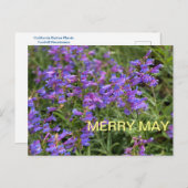 Merry May Postkarte (Vorne/Hinten)
