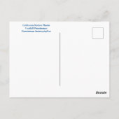 Merry May Postkarte (Rückseite)