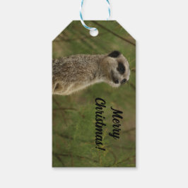 Merry Meercat Christmas Tag Geschenkanhänger