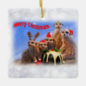 Merry Meerkats Ornament (Vorderseite)