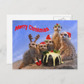 Merry Meerkats Postcard Feiertagspostkarte (Vorne/Hinten)
