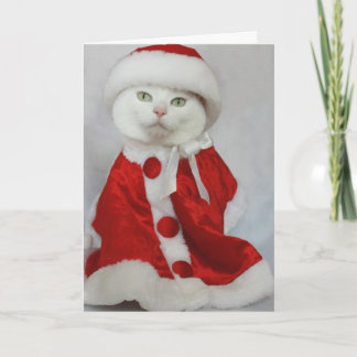 Merry Missy Feiertagskarte