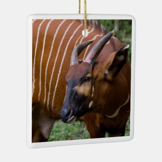 Merry Mountain Bongo Antelope! Keramikornament (Rechts)