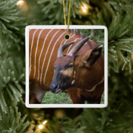 Merry Mountain Bongo Antelope! Keramikornament