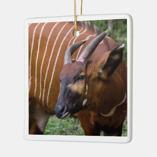Merry Mountain Bongo Antelope! Keramikornament (Links)
