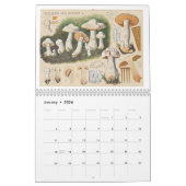 MERRY MUSHROOMS-Kalender Kalender (Jan 2026)
