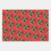 Merry Old Christmas Elf, Jessie Willcox Smith Geschenkpapier Set (Vorderseite)