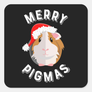 Merry Pigmas Niedliche und lustige Guinea Weihnach Quadratischer Aufkleber
