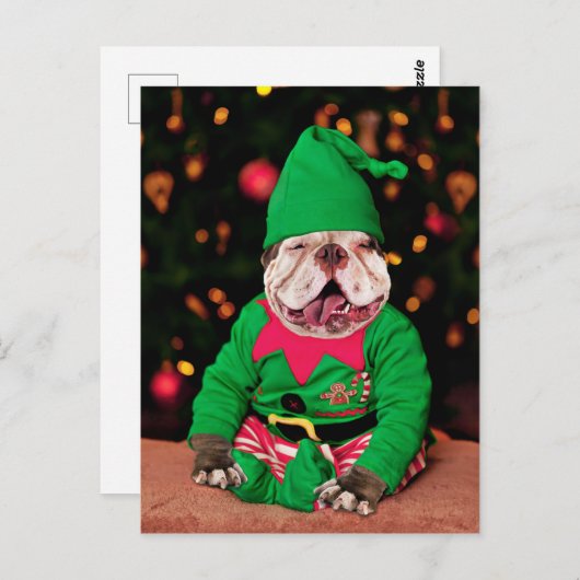 Merry Pitmas, Pit Bull Style Postkarte (Vorne/Hinten)