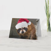 Merry Raccoon Christmas Feiertagskarte (Vorderseite)