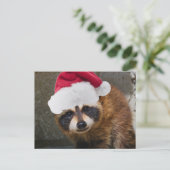 Merry Raccoon Christmas Feiertagspostkarte (Stehend Vorderseite)