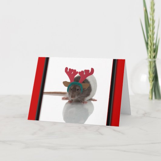 Merry Ratmas Feiertagskarte (Vorderseite)