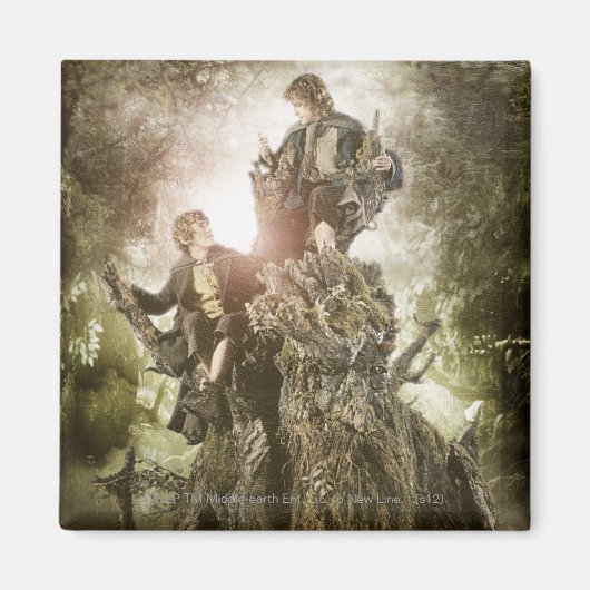 Merry und Peregrin auf Treebeard Magnet (Vorne)