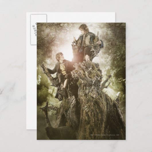 Merry und Peregrin auf Treebeard Postkarte (Vorne/Hinten)