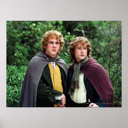 Merry und Peregrin Poster (Vorne)