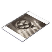 MES01BWD2 Baseball Bowl.tif Notizblock (Linke Seite)