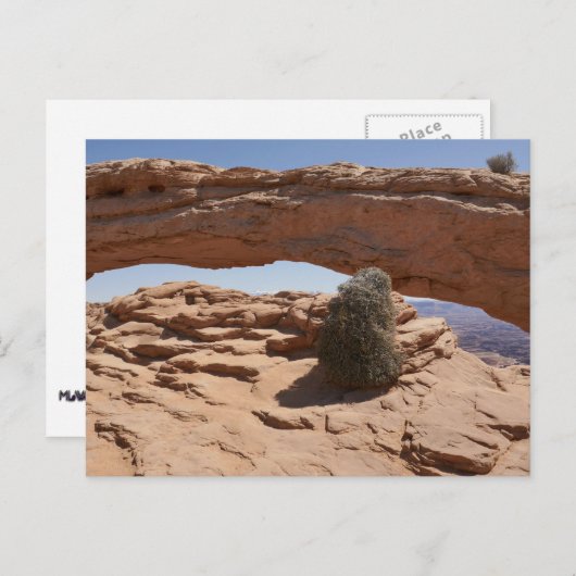 Mesa Arch and Tumbleweed in Canyonlands Postkarte (Vorne/Hinten)