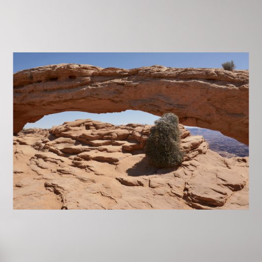 Mesa Arch und Tumbleweed im Canyonlands Poster (Vorne)