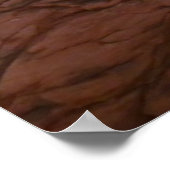 Mesa Arch vom Canyonlands Nationalpark Poster (Ecke)