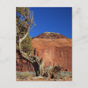 Mesa Spearhead im Monument Valley Postkarte