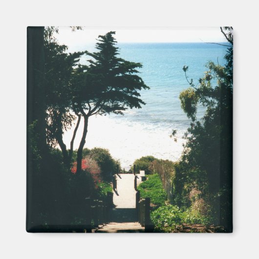 Mesa Treairs Magnet (Vorne)