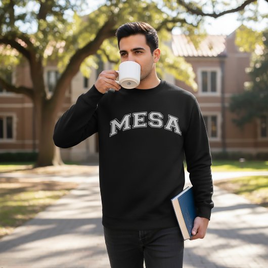 MESA University Style Sweater America Uni Sweatshirt