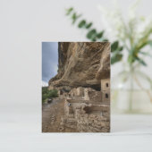 Mesa Verde Cliff Dwellings Postkarte (Stehend Vorderseite)