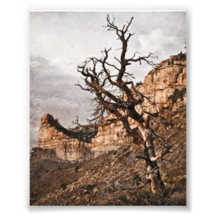 Mesa Verde Druck