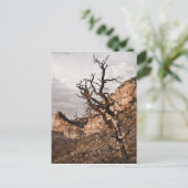 Mesa Verde Postcard Postkarte (Stehend Vorderseite)