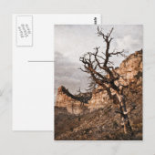 Mesa Verde Postcard Postkarte (Vorne/Hinten)