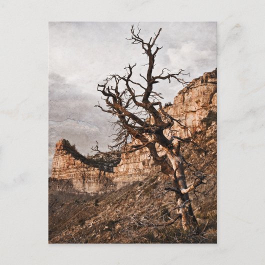 Mesa Verde Postcard Postkarte (Vorderseite)