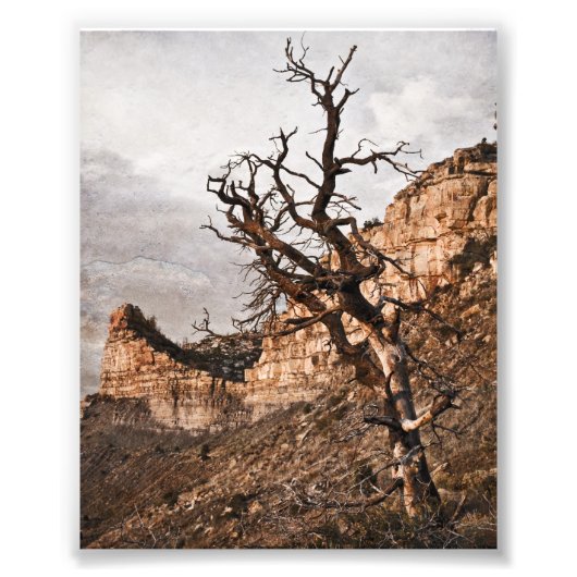 Mesa Verde Print Fotodruck (Vorne)