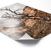 Mesa Verde Print Fotodruck (Ecke)