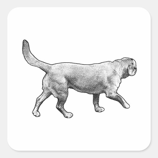 mesh-tone pace quadratischer aufkleber (Vorderseite)