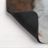 Mesmerisierte Felin Mousepad (Ecke)