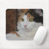 Mesmerisierte Felin Mousepad (Mit Mouse)