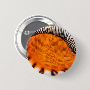 Mesmerizing seashell button