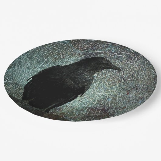 Messenger-ID249 Pappteller (Schrägansicht)